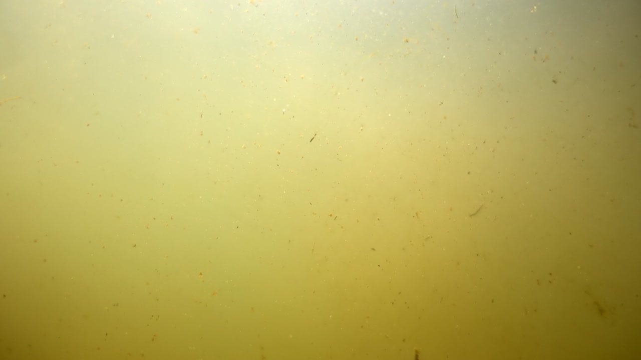 호수의 물 속의 입자들이 회전합니다.