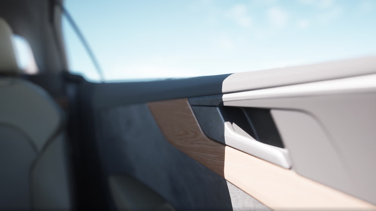 vista de cerca del panel de la puerta interior de un automóvil