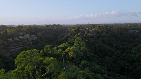 Experiencia-De-Aterrizaje-De-Drones-Caminata-Por-La-Cresta-Campuhan-De-Bali-Al-Atardecer