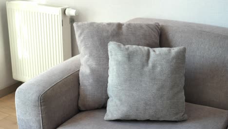 gray sofa with pillows in a living room