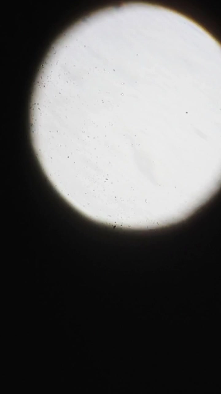 Sorgente luminosa circolare brillante che si muove su sfondo scuro