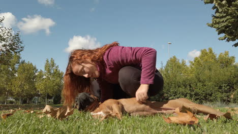 woman stroking her boxer dog in the park