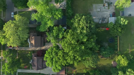 drone top down of a tree removal site in iowa