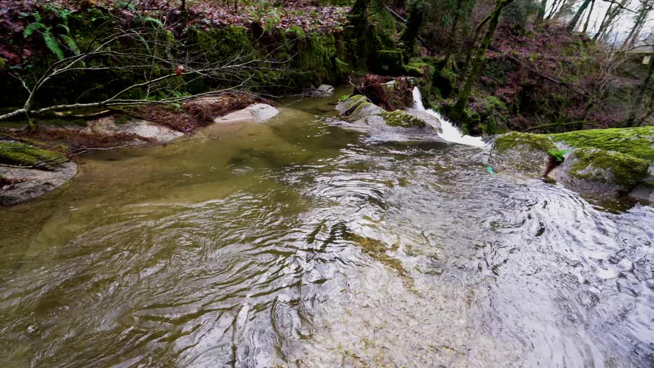 Rippling Bugio river through Barrias forest, Portugal