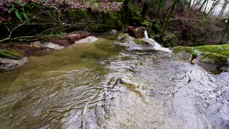 rippling bugio river through barrias forest, portugal