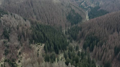 drone aerial views of the harz national park in central germany