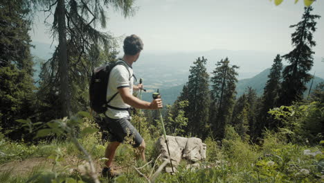 hiker walking with hiking poles past the camera, path surround conifer trees, valley in the background and thin cloud cover on the sky