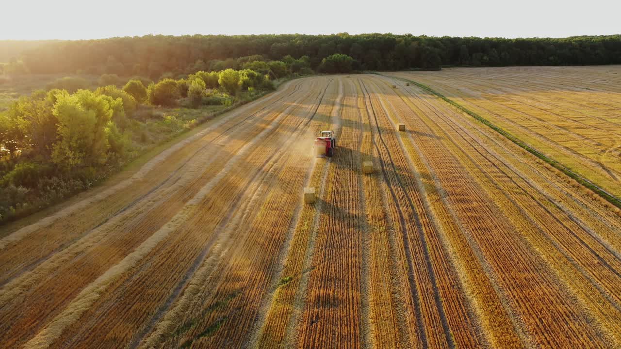 Agricultural machine works on the field in a sunny summer day. Tractor is pressing dried grass into square bales. Aerial view. Motion camera back.