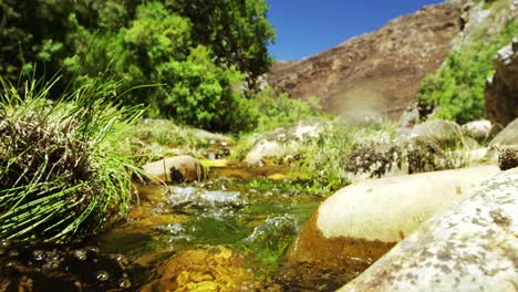 River-water-flowing-through-rocks-and-grass