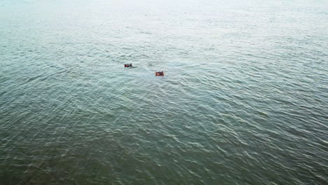 chilling in the water