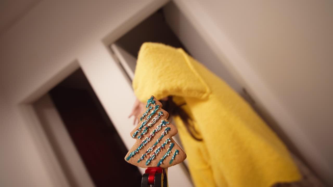 Sada fotografií vánočních stromečků s perníčky
