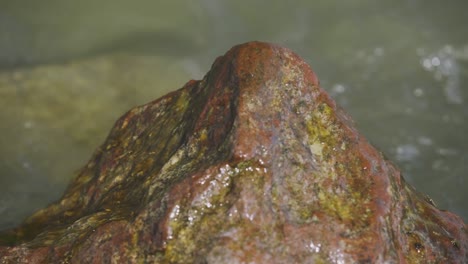 afternoon peaceful still footage from the big shore stone and waves of zamárdi, lake balaton