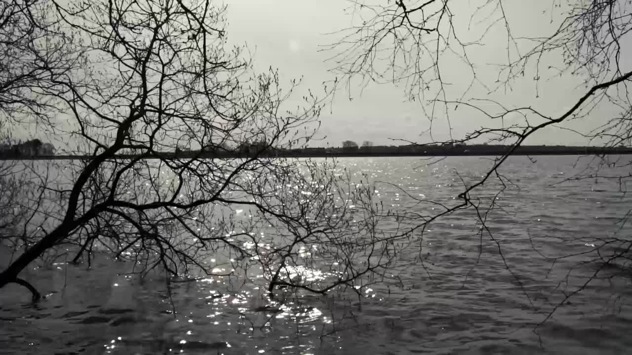 숲 가장자리에 있는 호수의 저속 촬영-3