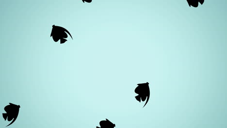 Free Fish Animation videos in HD and 4K to download | Freepik