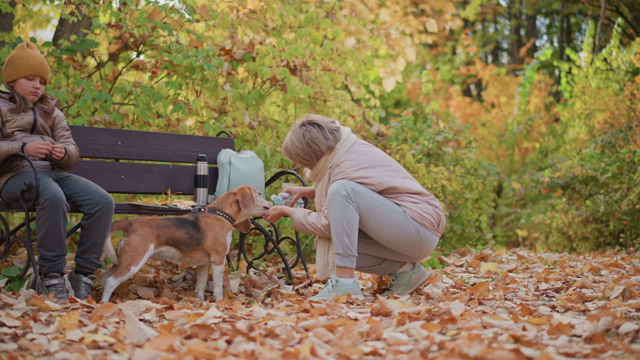 Woman squats beside bench gently pouring water into hand for thirsty beagle while calm kid in mustard hat watches quietly, surrounded by golden fallen leaves and lush autumn forest scenery