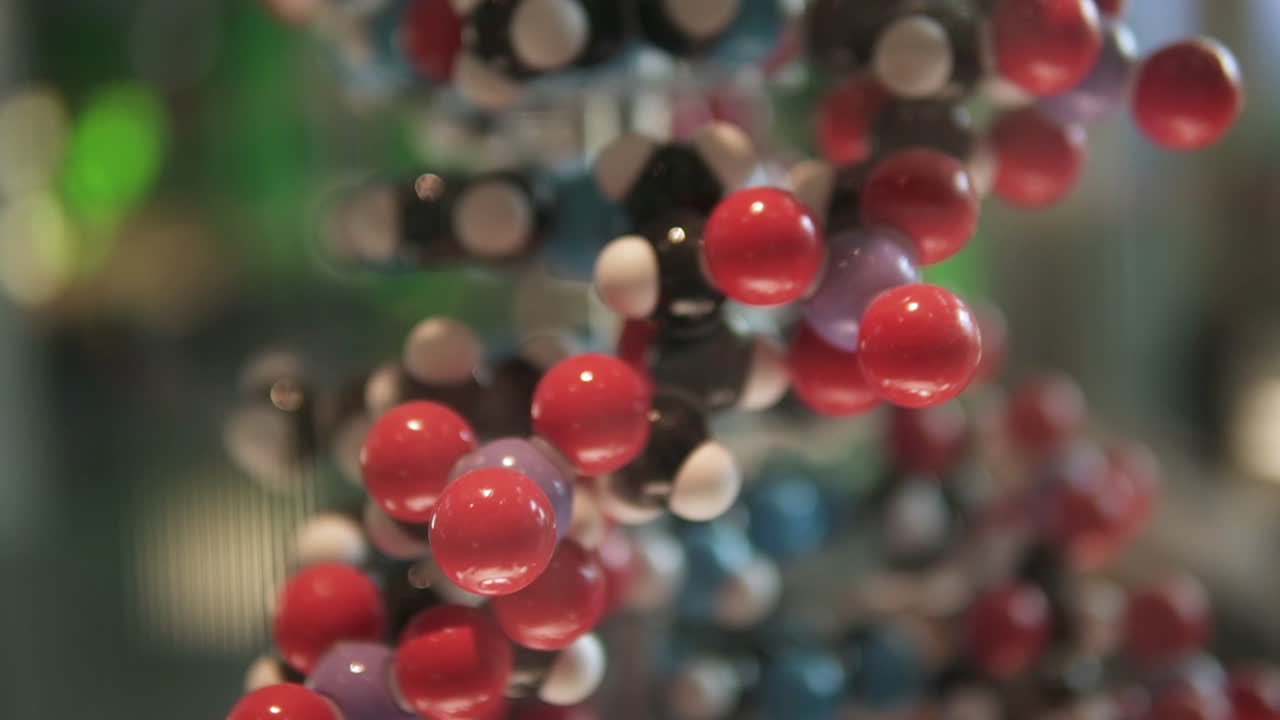 dna 사슬 구조 모델. 인간 게놈 연구