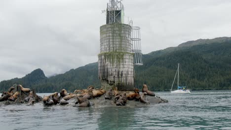 Flock-of-Sea-Lions-Resting-Under-Rusty-Tower-by-Alaskan-Coastline,-Slow-Motion