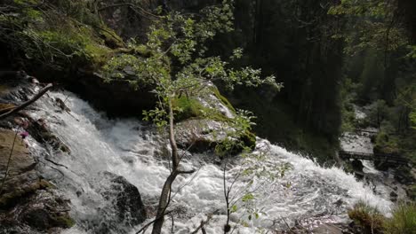 pan on waterfall of vallesinella with woody bridge and landscape, madonna di campiglio, trentino alto adige, italy