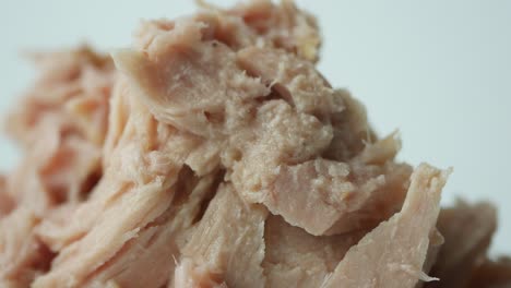 close-up of canned tuna