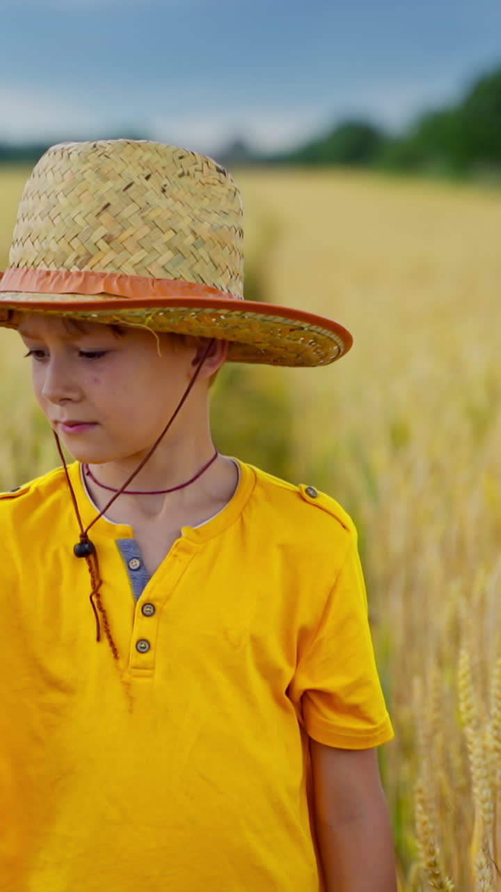 Boy in yellow t-shirt on field with spikelets. Portrait of a little farmer in hat among agriculture in the countryside. Vertical video
