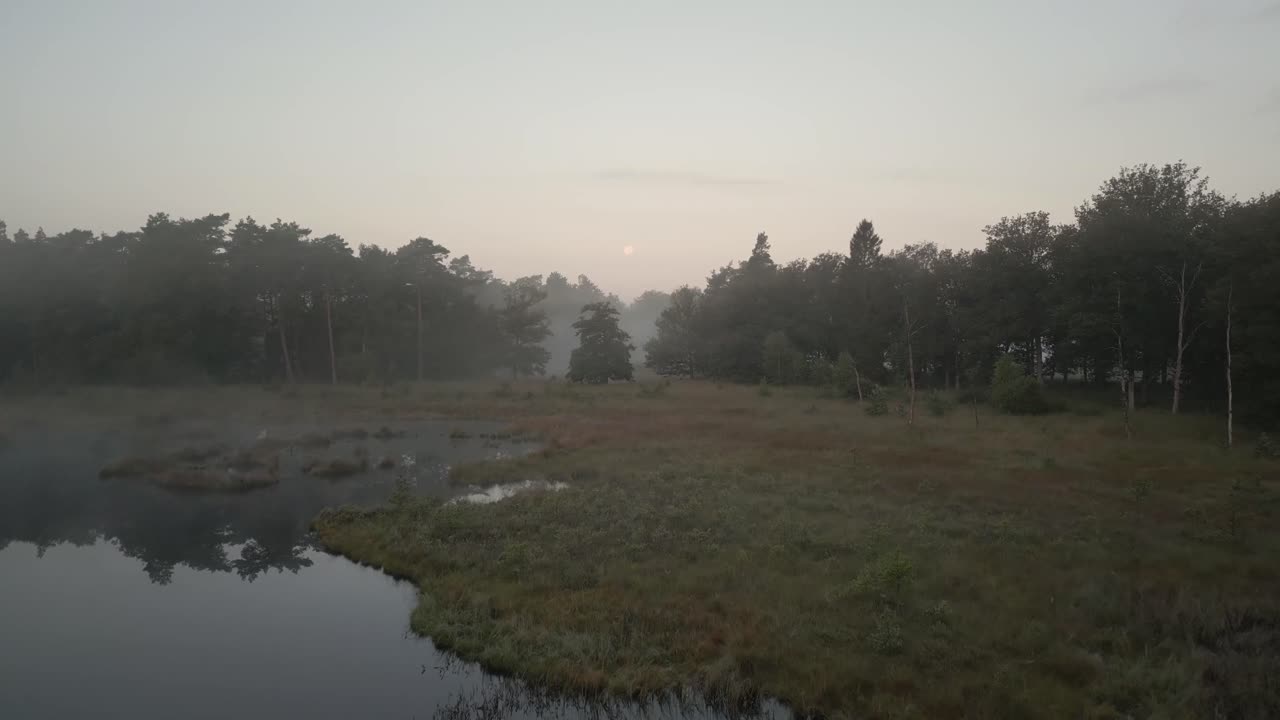 paisaje forestal brumoso al amanecer o al atardecer