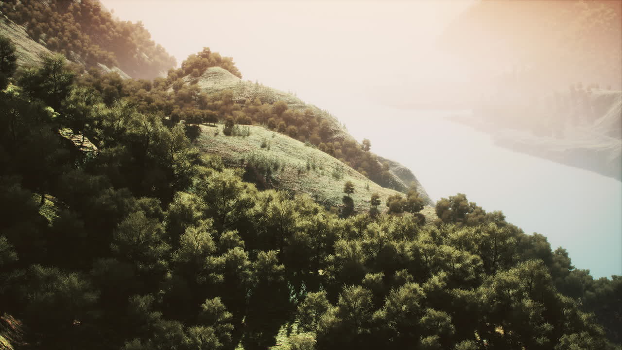 봄에 혼합 숲이 있는 풍경