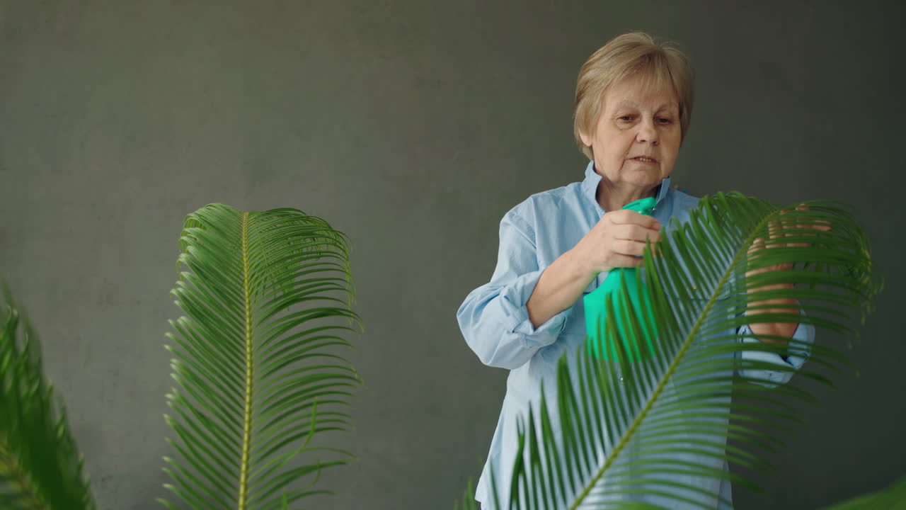 Senior Woman Watering Houseplants