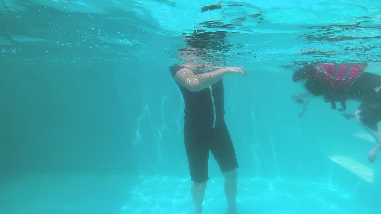 A young dog first time playing during a hydrotherapy session
