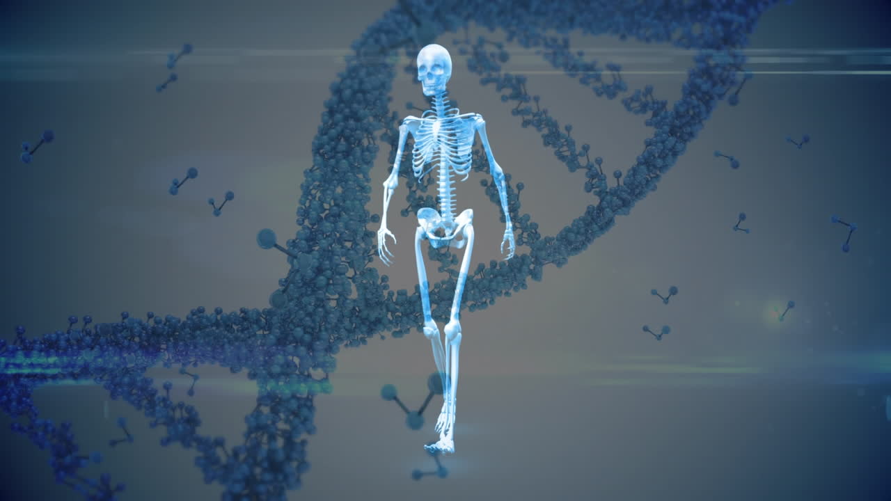 animación de hilos de adn en 3d girando y moléculas flotando sobre el esqueleto humano