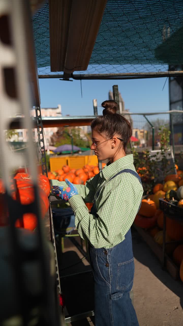 mujer recogiendo calabazas en un mercado al aire libre