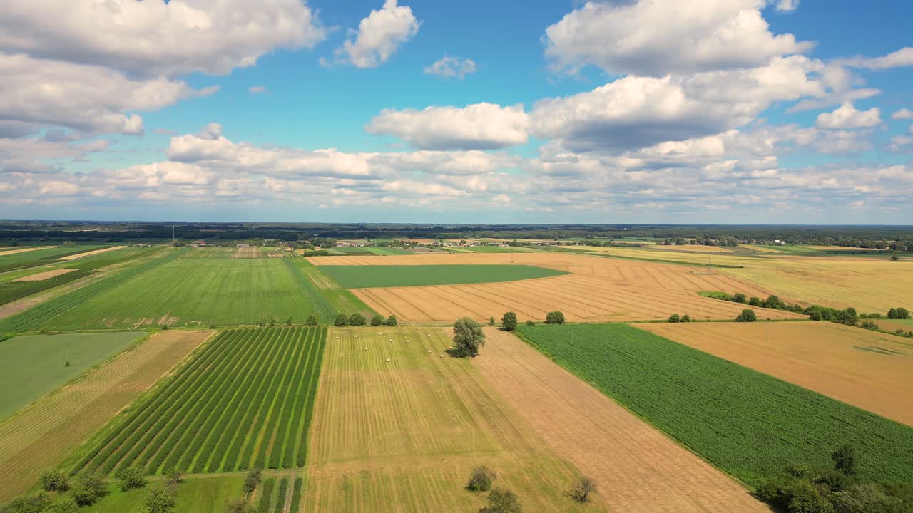 Aerial view with the landscape geometry texture of a lot of agriculture fields with different plants like rapeseed in blooming season and green wheat