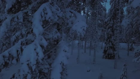the frozen winterscape of hanhimaa in finland