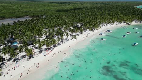 aerial drone shot of the beach at saona island in dominican republic full of tourists