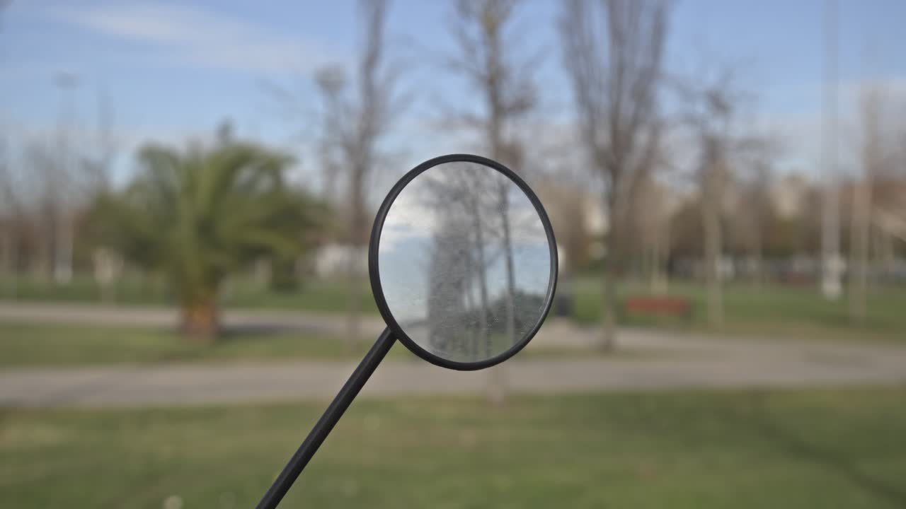 приморский парк, полный деревьев, в мальтепе, стамбул