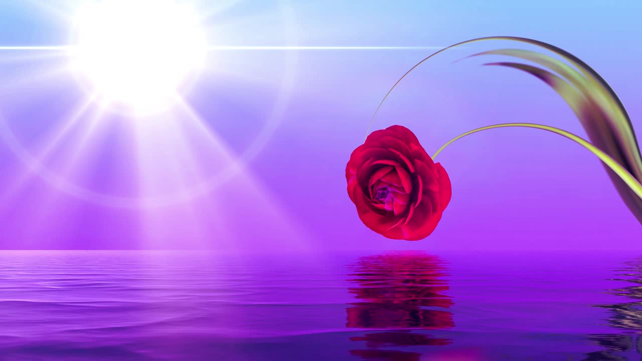 물 표면과 립을 가진 풍경의 시네마그래프.