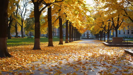 autumn park stroll