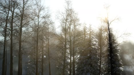 Herrliche-Weihnachtsszene-Im-Bergwald.-Bunter-Wintersonnenaufgang