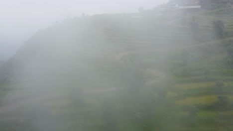 aerial shot of green terraced plantaiton fields on slope in nepal during cloudy day