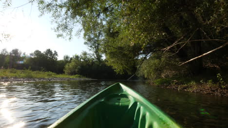 canoeing underneath some trees herault river first point of view france summer