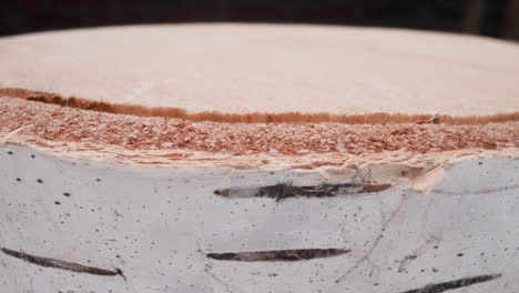 árbol de abedul cortado con corteza estampada sobre fondo negro