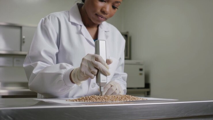 Aligning probe, technician probing tan grain tray at lab bench, measuring sample wearing lab coat