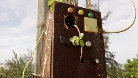 Una-Caja-De-Interruptores-De-Tablero-De-Alimentación-Oxidada-Sin-Usar-Unida-A-Un-Poste-De-Luz