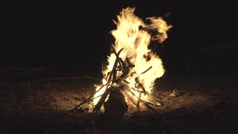 campfire, big flames, nighttime camping