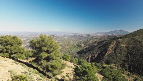 aerial footage of drone flying between the trees on the mountains