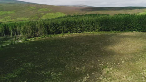 Stunning-forested-expanse-of-Glencree-Ireland,-dramatic-cloud-shadows-gliding-across-the-landscape