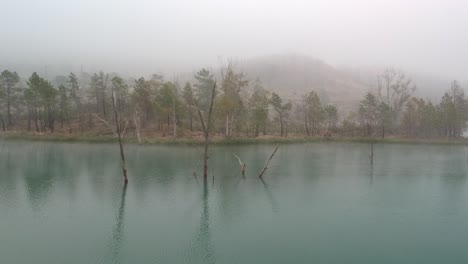 flying near a dead branches over a lake in a foggy lake