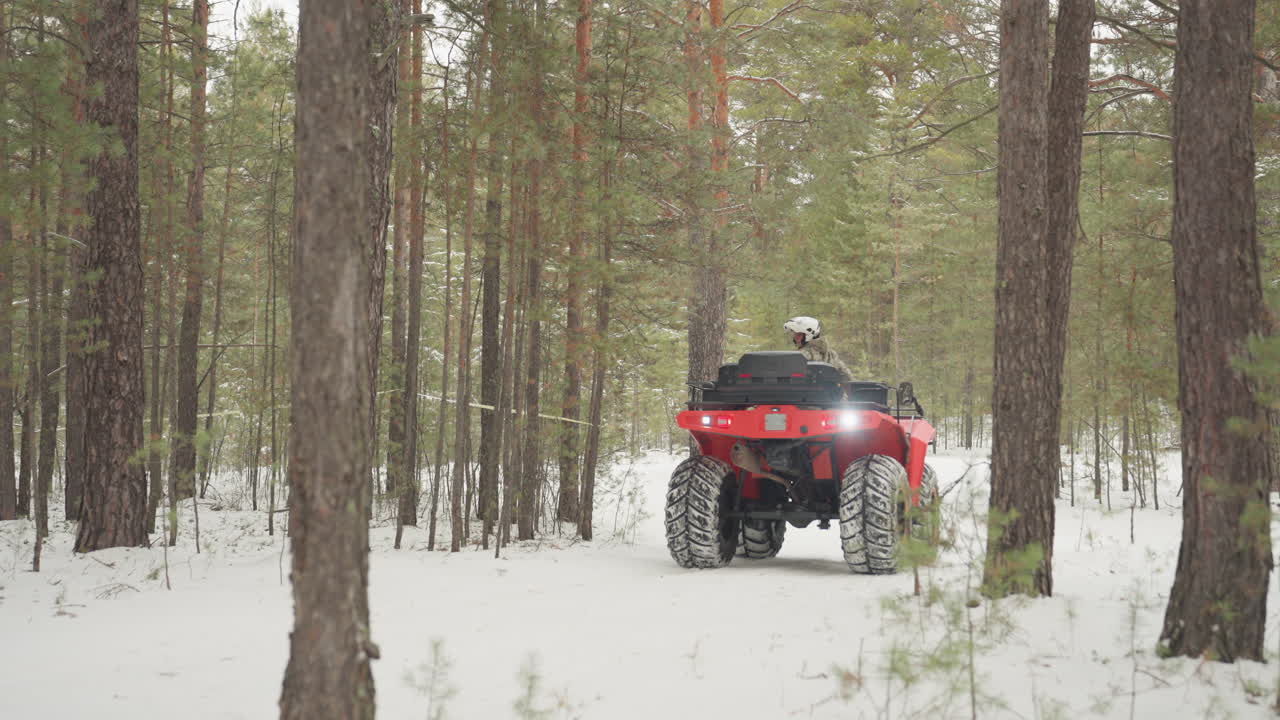 Un quad rosso si muove attraverso una pineta innevata, un pilota solitario con il casco naviga su uno stretto sentiero tra alti tronchi, leggera nevicata, tracce visibili di pneumatici nella neve farinosa, atmosfera di natura selvaggia tranquilla e remota, luce fioca.