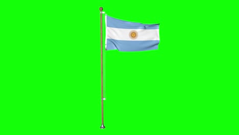 3d argentina flag waving