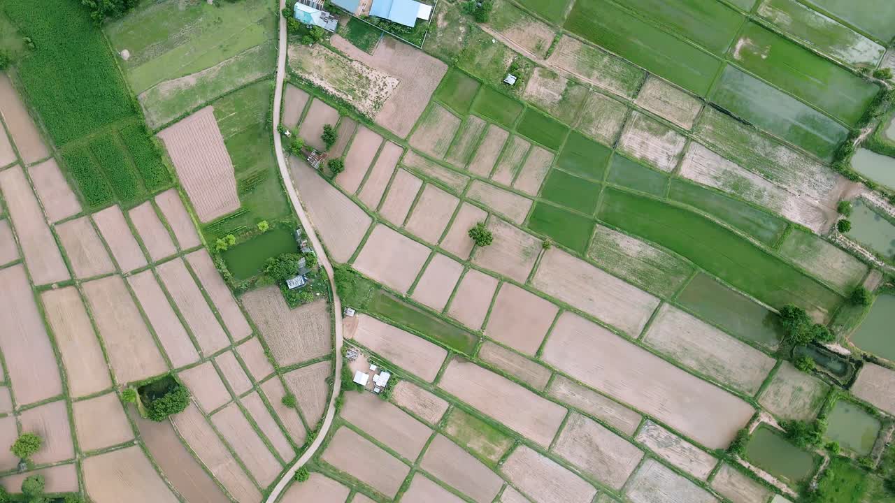 Aerial view and rotation of scenery green rice fields nature and village. Nature drone fly.