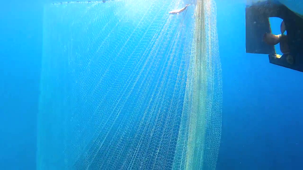 ボートに引かれる漁網の水中景観